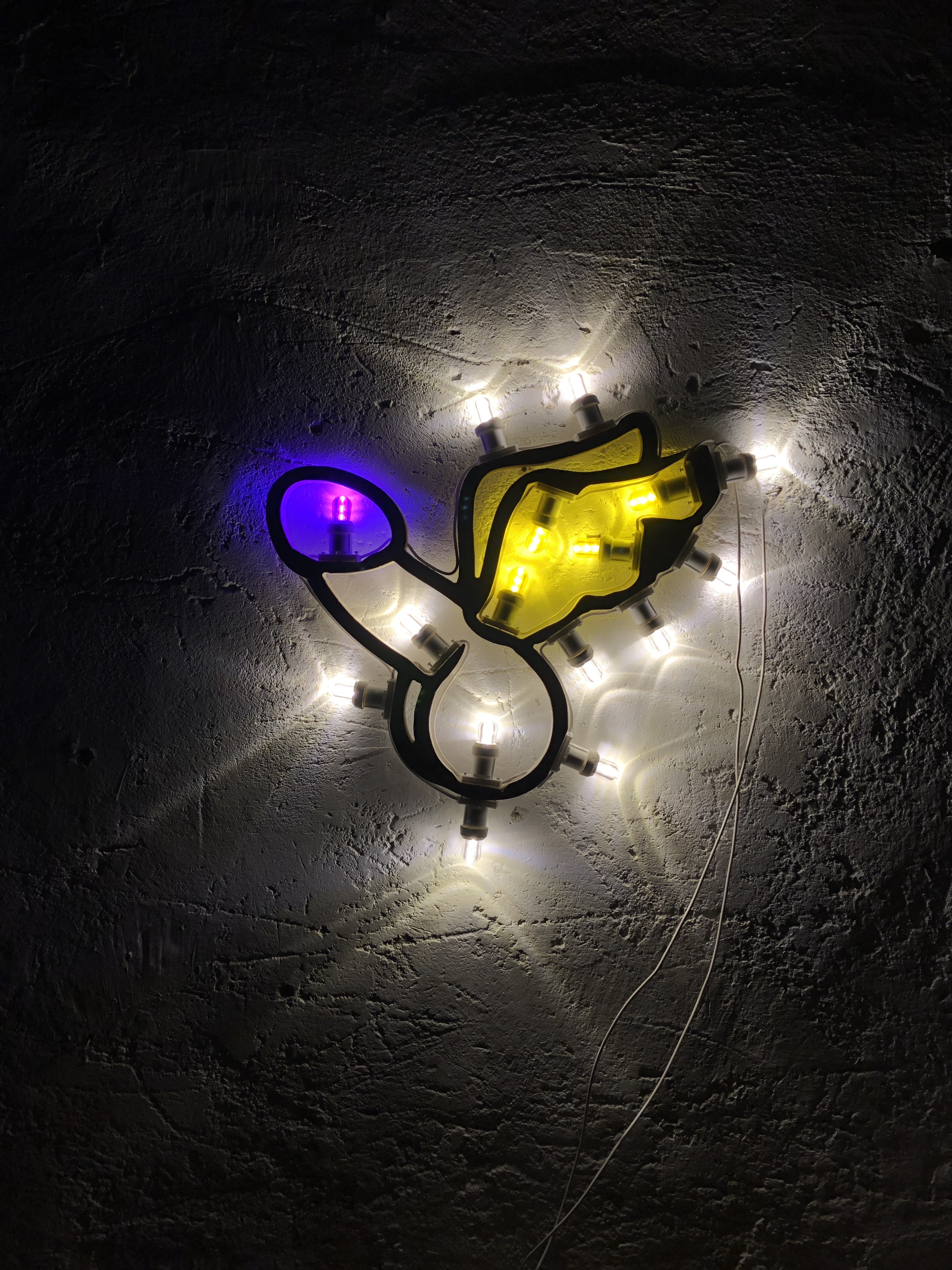 Flying Penis, 45x46 cm., legno e lampadine a led, 2018